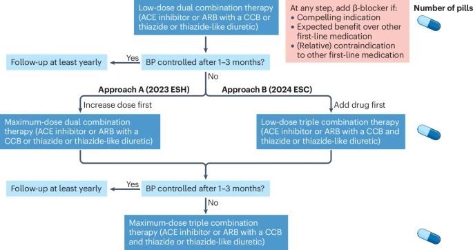 In most patients with hypertension, initiating treatment with a low-dose, dual combination of a renin–angiotensin system inhibitor (an angiotensin-converting enzyme (ACE) inhibitor or an angiotensin receptor blocker (ARB)) and either a dihydropyridine calcium channel blocker (CCB) or a thiazide or thiazide-like diuretic is recommended. If blood pressure (BP) remains uncontrolled, the 2023 European Society of Hypertension (ESH) guideline4 recommends increasing the doses of the initial two-drug combination to the maximum-recommended or maximum-tolerated dose of the components before transitioning to a three-drug combination. By contrast, the 2024 European Society of Cardiology (ESC) guideline3 recommends the addition of a third drug from a different class before increasing the doses of the initial combination.