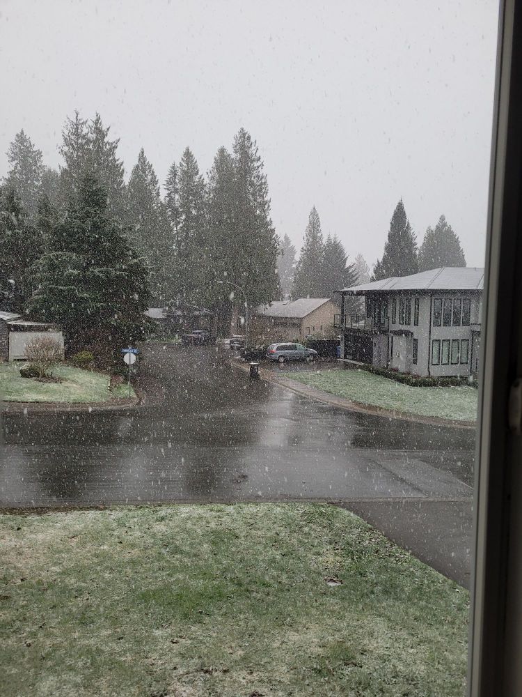 Snow March Abbotsford BC 