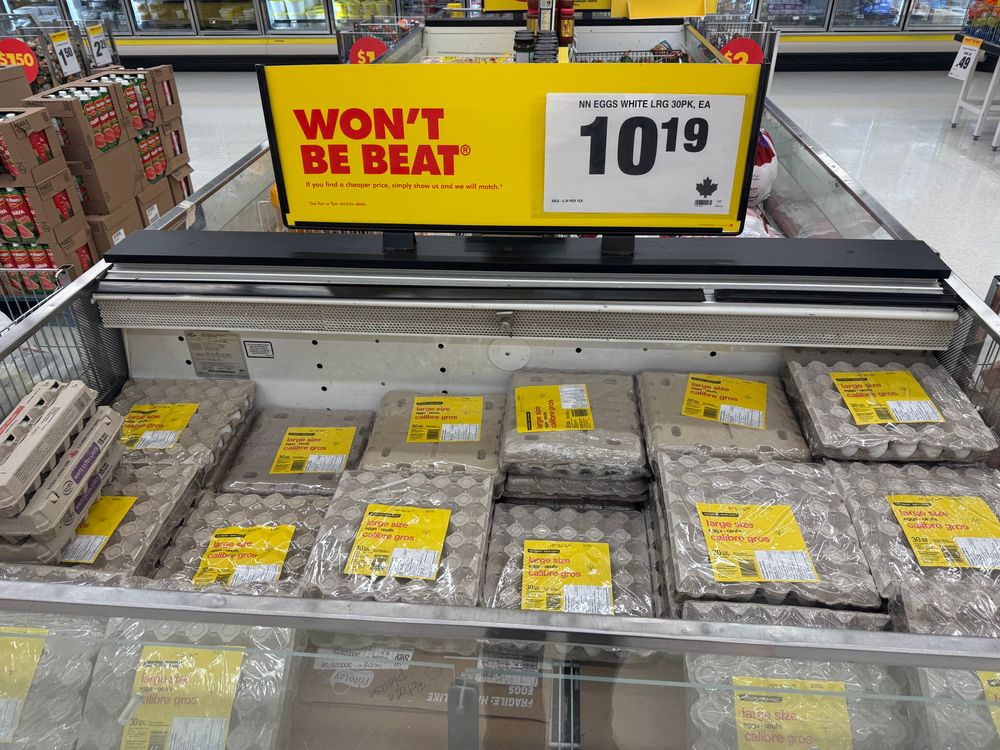 Display fridge packed either eggs, large sign over the fridge advertises 30 large white Canadian eggs for $10.19 CAD