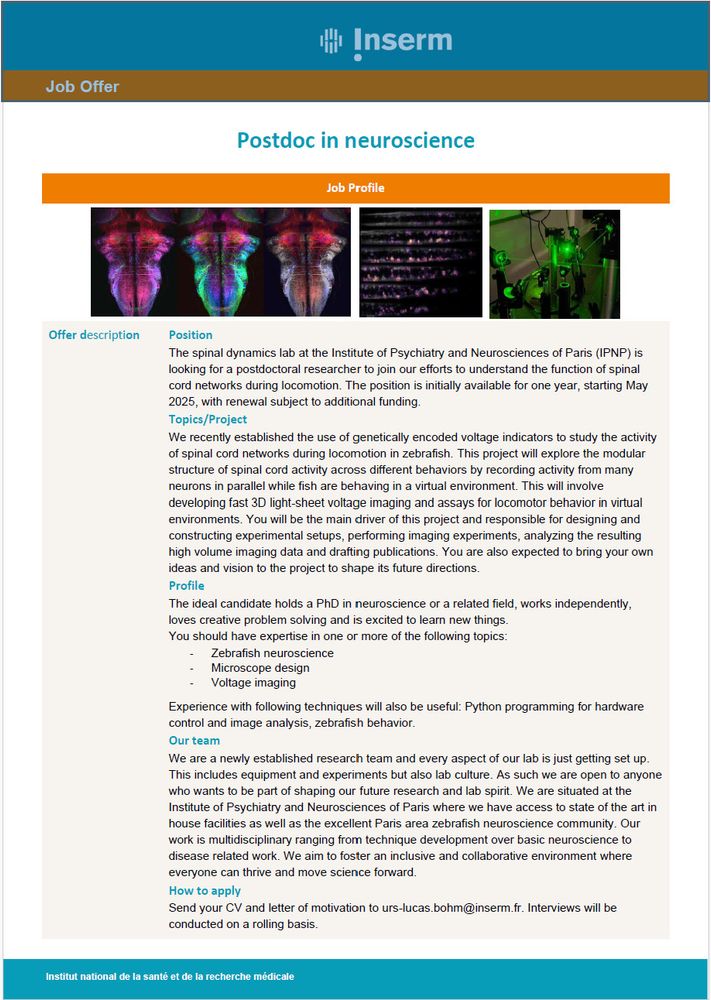 job offer for a postdoctoral position working on zebrafish spinal cord imaging