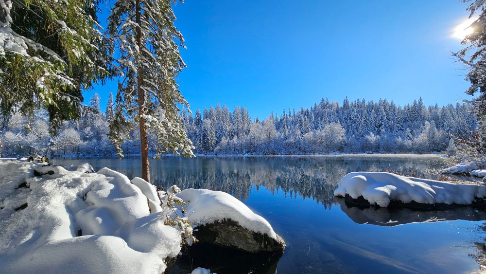 Verschneite Bäume an einem Bergsee bei Sonnenschein
