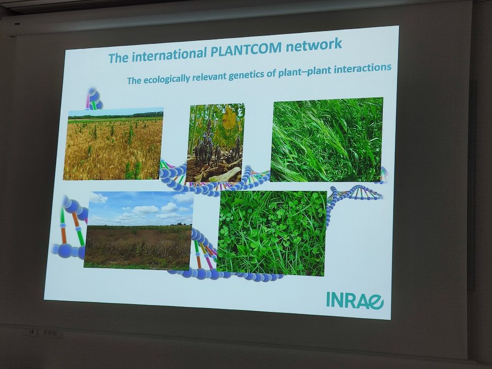 The international PLANTCOM network for ecologically relevant genetics of plant-plant interactions