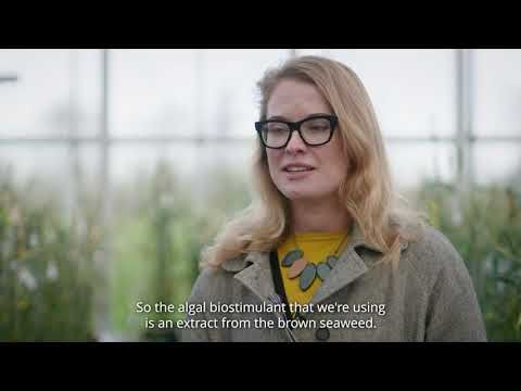 Reducing chemical fertiliser use for improved sustainability in agriculture