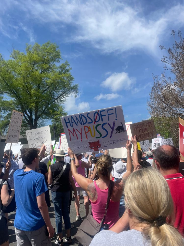 A bunch of pale Americans walking in a peaceful protest. One holds a sign that says “hands off my cat” but in a sassier way. . . With pictures of cats on it 