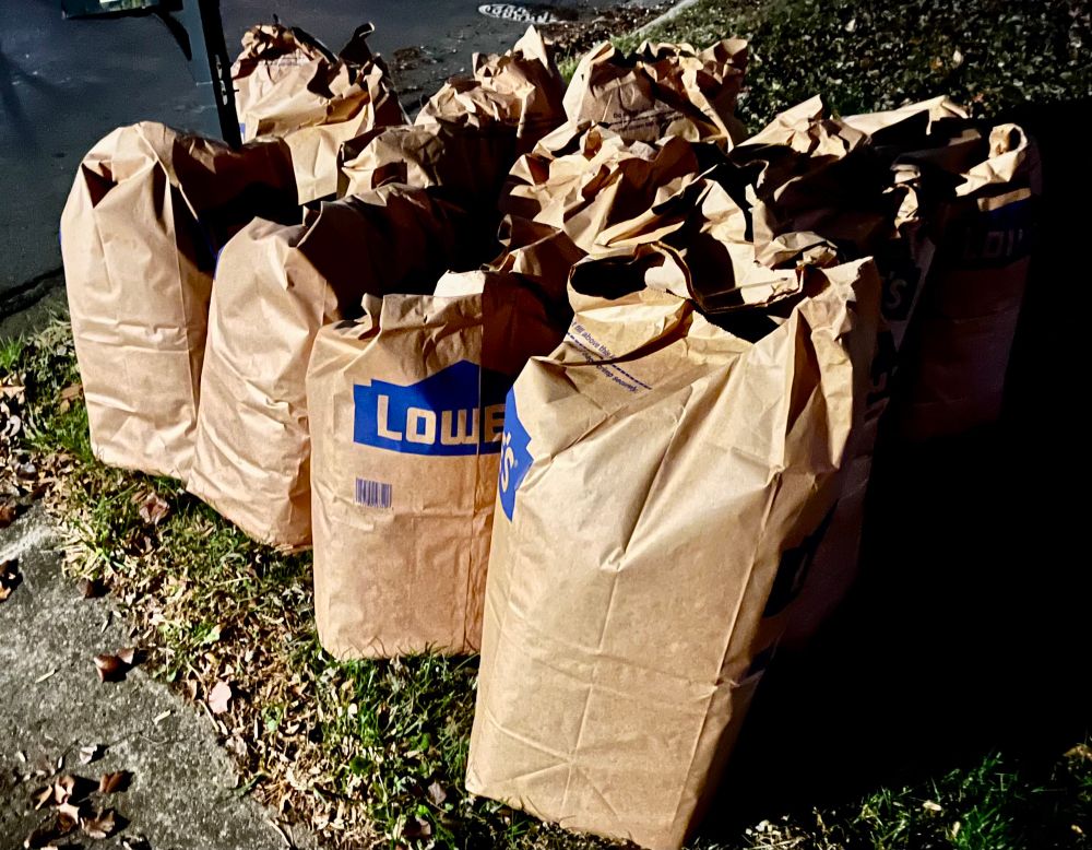 Results from a long afternoon of bagging leaves