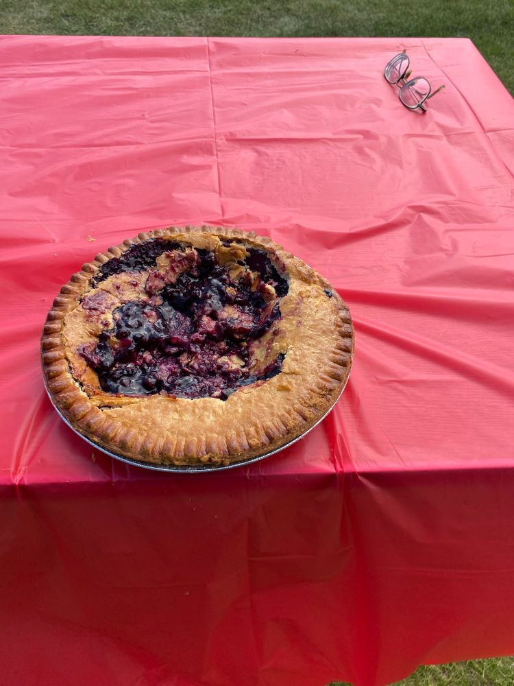 A blueberry pie with the middle eaten out. 