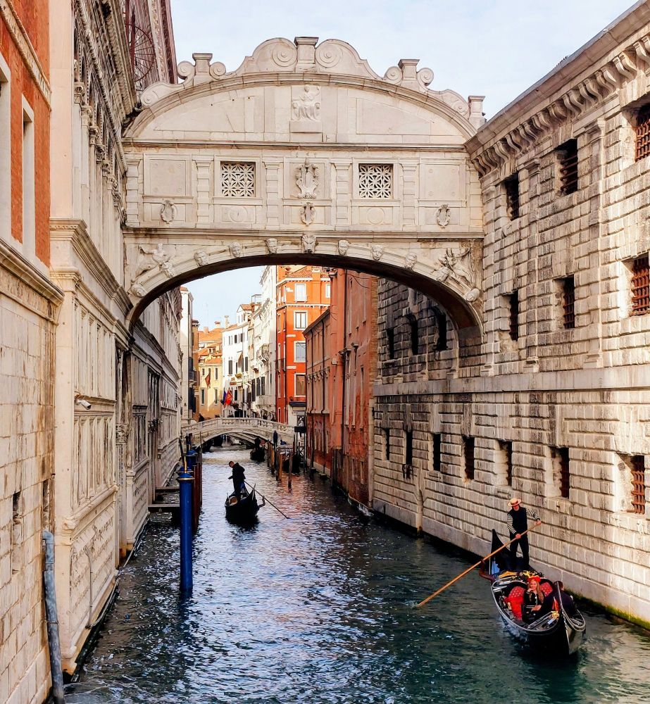 Buenos días a tod@s #FelizDomingo 