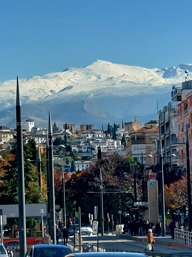 Buenos días a tod@s.#FelizSábado 