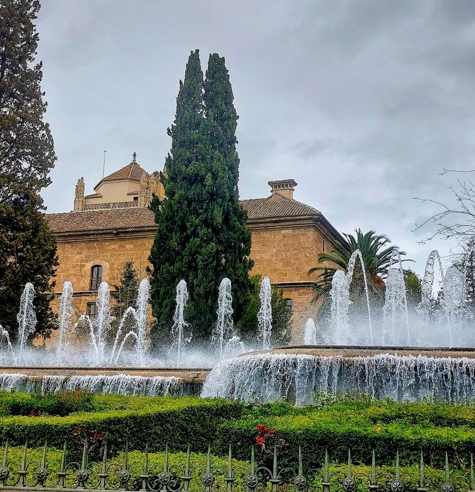 Buenos días a tod@s #FelizJueves 