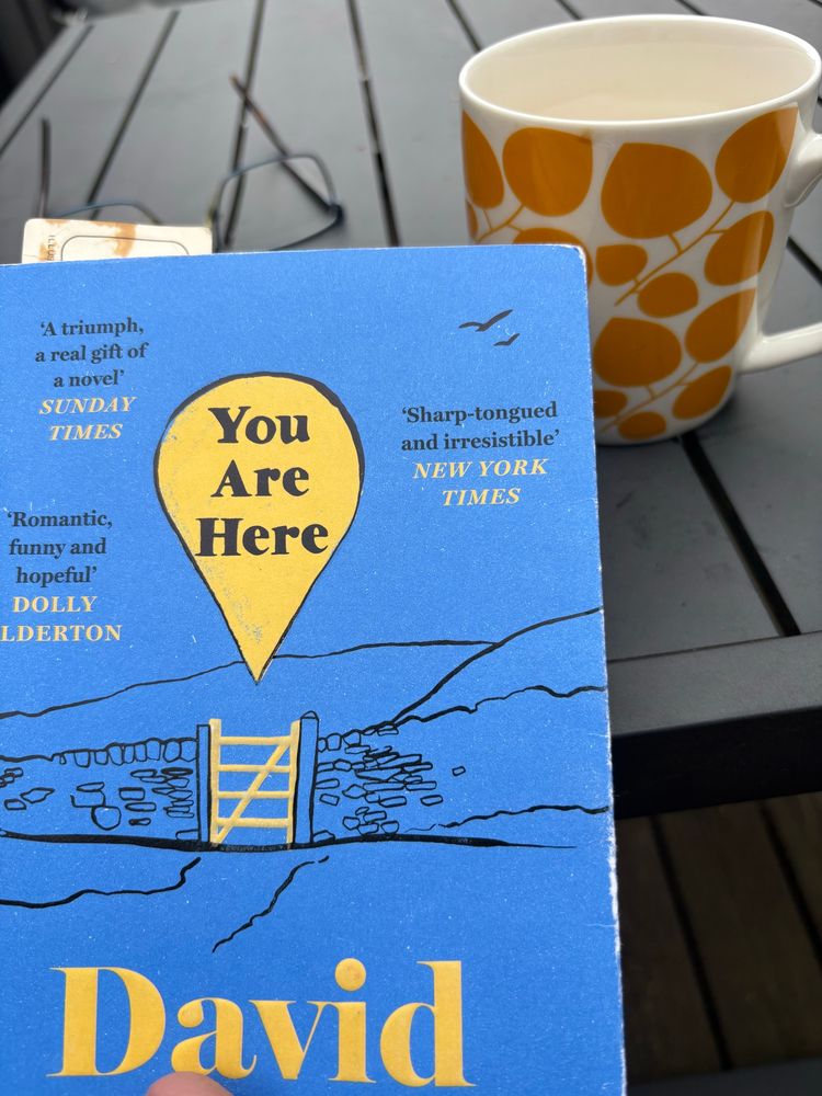 You are here - by David Nicholls