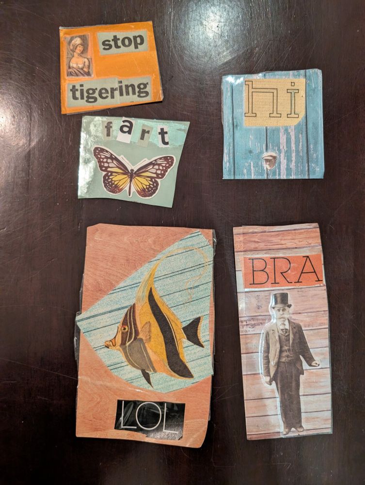 Collages: stop tigering, fart, ho, lol, bra
