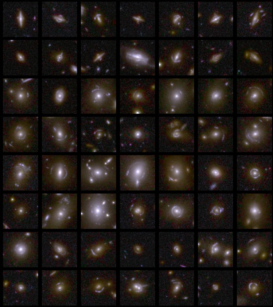 A collage of seven by eight squares containing examples of gravitational lenses. Each example typically comprises a bright centre with smears of stars in an arc or multiple arcs around it as a result of light travelling towards Euclid from distant galaxies being bent and distorted by normal and dark matter in the foreground. In some rare cases the smearing is in a complete ring, creating a so-called Einstein Ring.