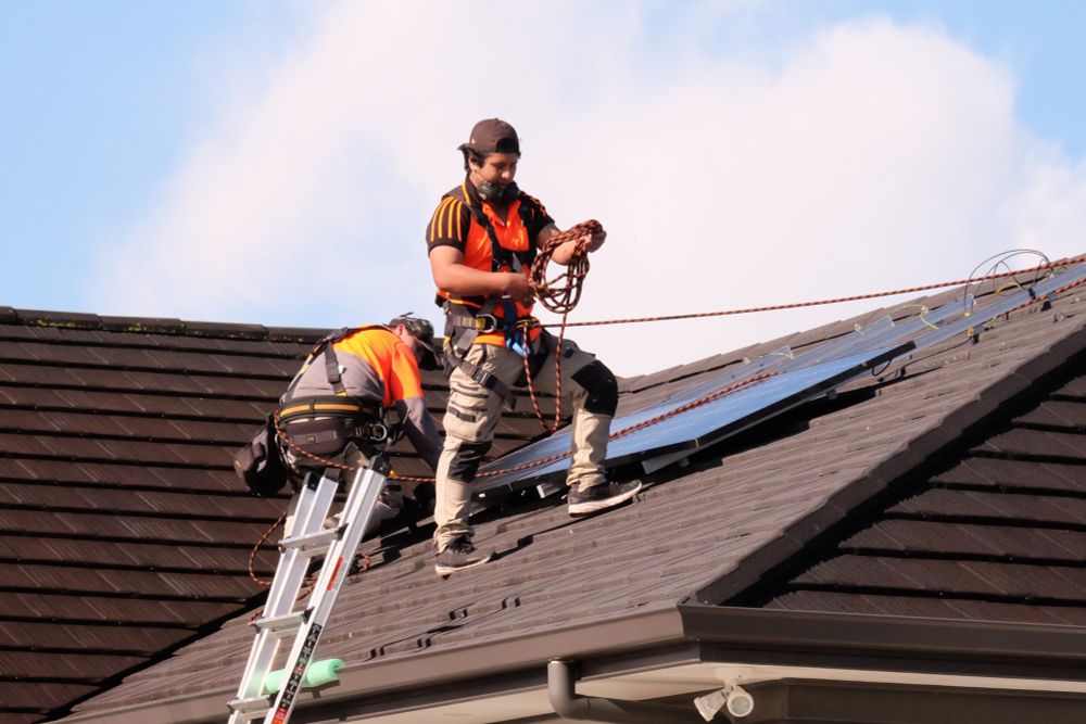 Solar ‘virtual power plant’ helps get NZ through cold snaps