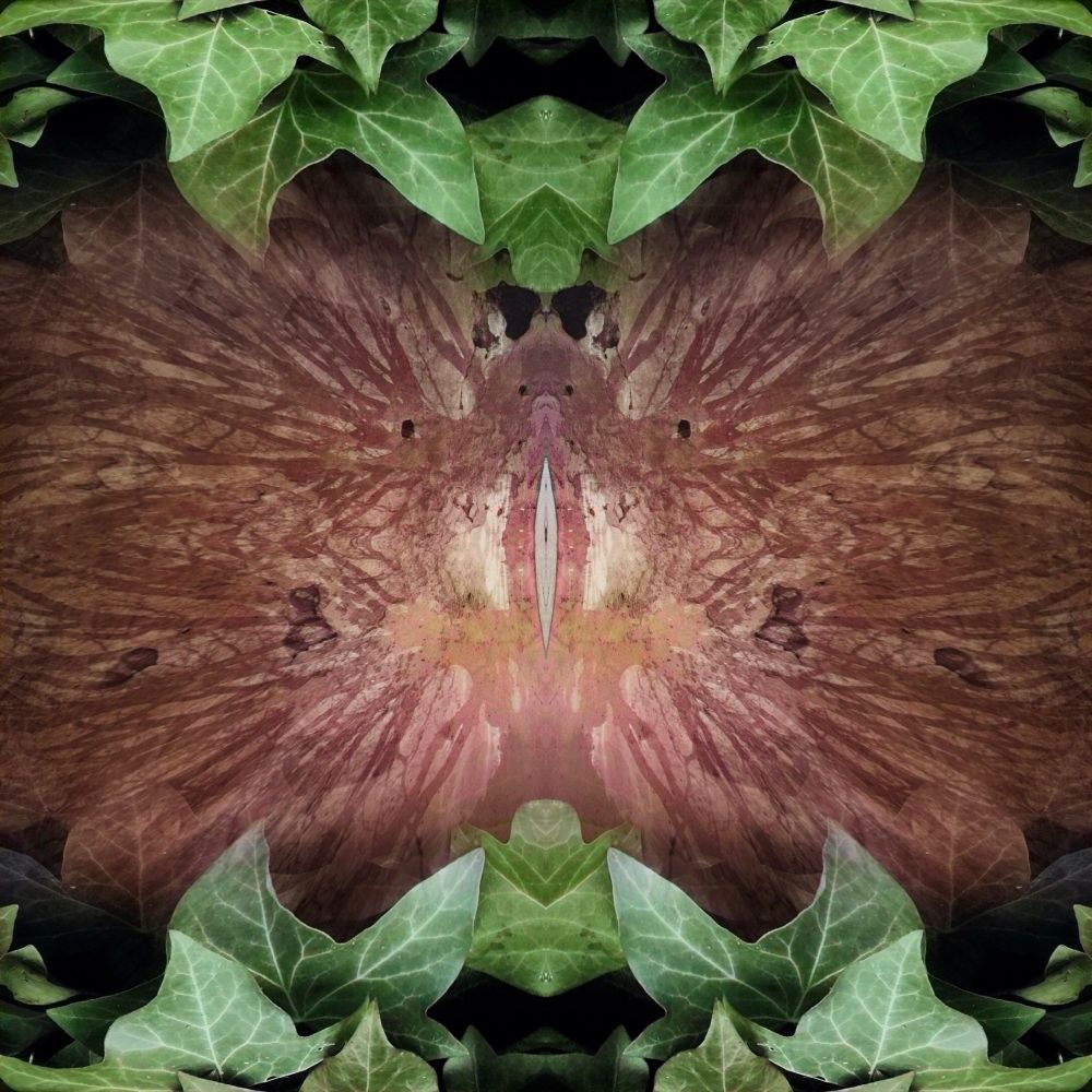 Surrealist textural artwork showing the inner of a strange cocoon