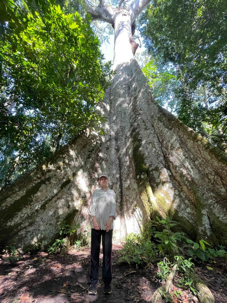 Savannah Cooley stands in an intact forest patch in front of one of the largest measured trees in the southern Amazon—a magnificent Ceiba pentandra towering 61 meters tall. Credit: Vinicius Silguero, Instituto Centro de Vida