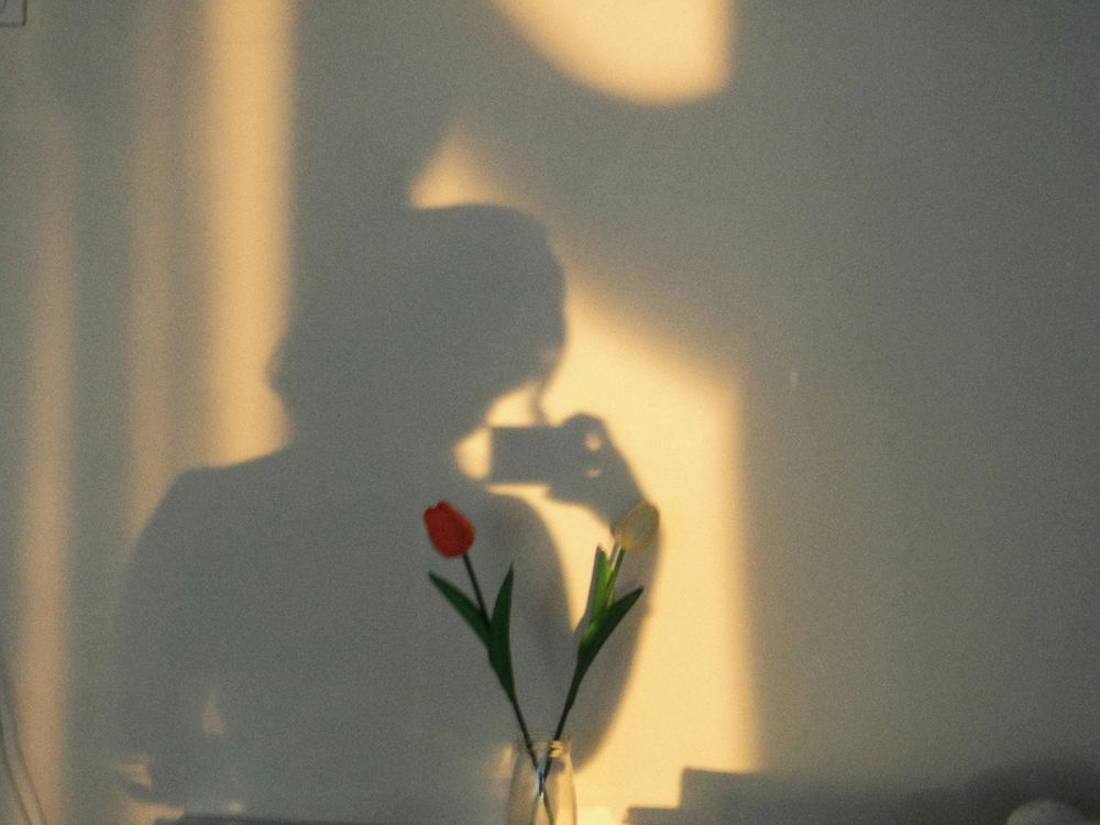 silhouette of a woman in the afternoon light