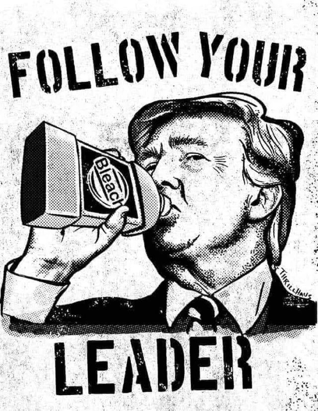 Cartoon of trump drinking from a carton of bleach with the words "Follow your leader" 