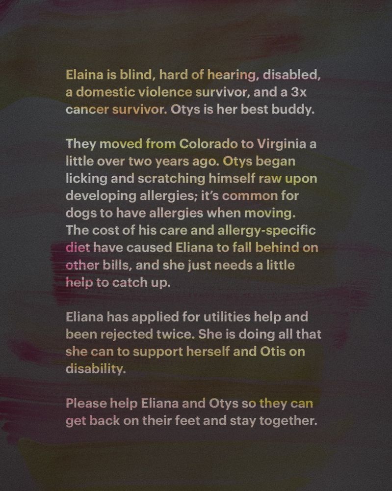 greyed out watercolor background with yellow and pink watercolor brushstrokes, sans-serif font:
"Elaina is blind, hard of hearing, disabled, a domestic violence survivor, and a 3x cancer survivor. Otys is her best buddy. 

They moved from Colorado to Virginia a little over two years ago. Otys began licking and scratching himself raw upon developing allergies; it’s common for dogs to have allergies when moving. The cost of his care and allergy-specific diet have caused Elaina to fall behind on other bills, and she just needs a little help to catch up.

Elaina has applied for utilities help and been rejected twice. She is doing all that she can to support herself and Otys on disability. 

Please help Elaina and Otys so they can get back on their feet and stay together."
