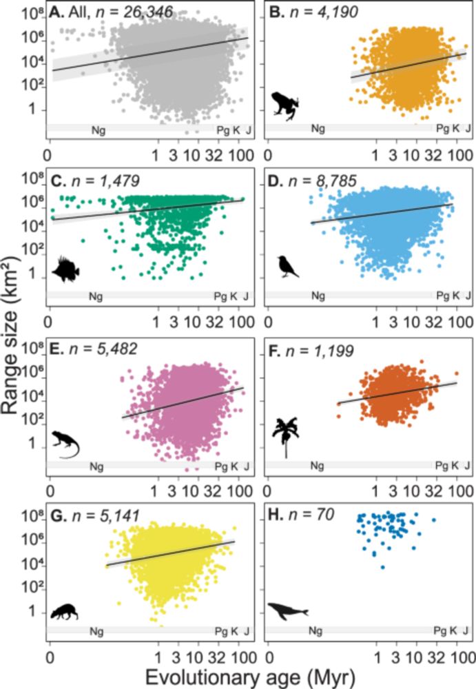 Why are some species widespread while others are found only in small, isolated areas? This study shows that species with narrow ranges, and thus higher extinction risk, are often island-restricted, po...