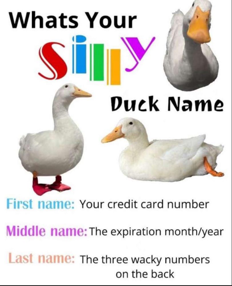Whats your silly duck name First name: Your credit card number Middle name: The expiration month/year Last name: The three wacky numbers on the back