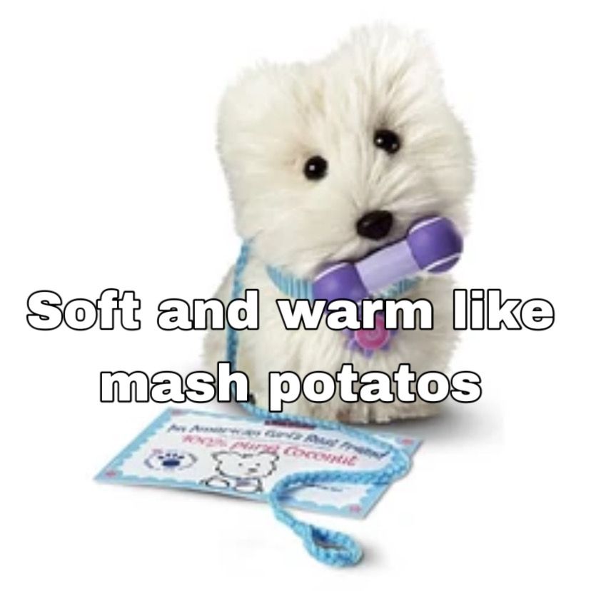A White toy dog representing a terrier stands in front of a plain white background. The toy dog has long white fur, black beady, plastic eyes, a black nose, a blue striped collar with a purple flower dog tag that has a pink circle in the center with a dark pink design inside, and a blue braided leash that is on the ground. The dog has a blue and white certificate in front of her and she has a purple tennis ball bone toy in her mouth. The image text says, "Soft and warm like mash potatos"