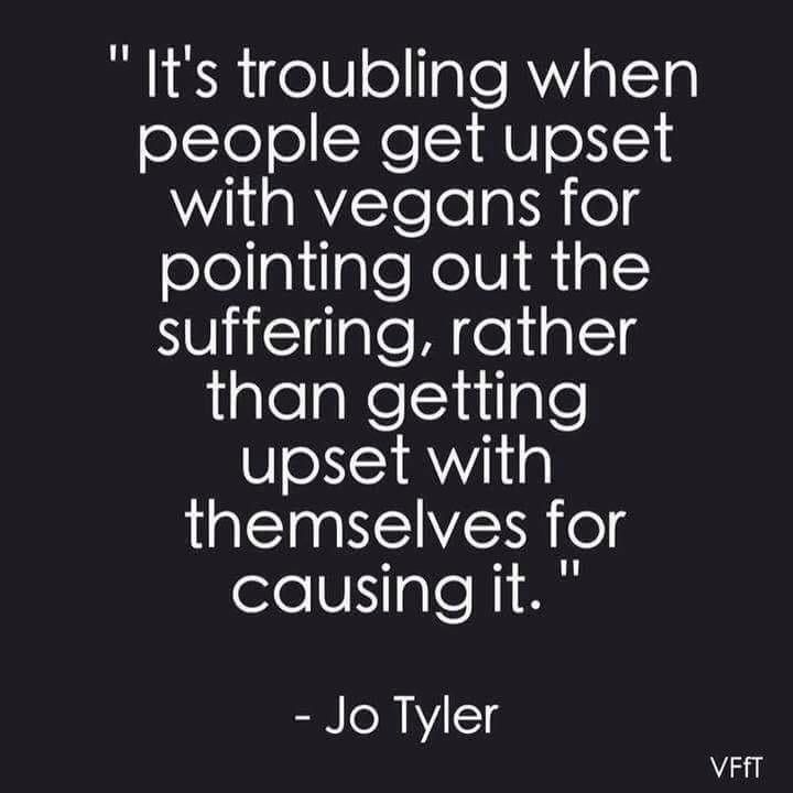 It's troubling when people get upset with vegans for pointing out the suffering, rather than getting upset with themselves for causing it. - Jo Tyler