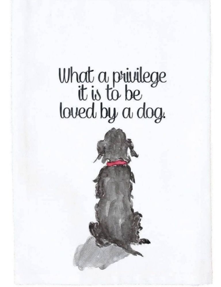 A black dog with the words what a privilege it is to be loved by a dog 