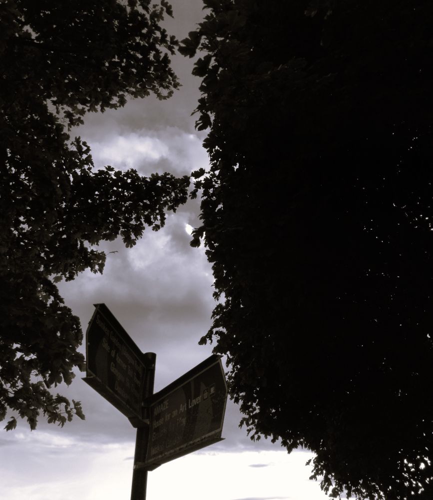 A monochrome photograph showing two signs positioned towards the top of a pole. The signs are at approximately ninety degrees to each other, with one pointing left and the other to the right. The right-hand sign is slightly lower than the other one. They are between the foliage of two trees and, along with the foliage, are more or less silhouetted against the sky, most of which is covered with dark clouds.