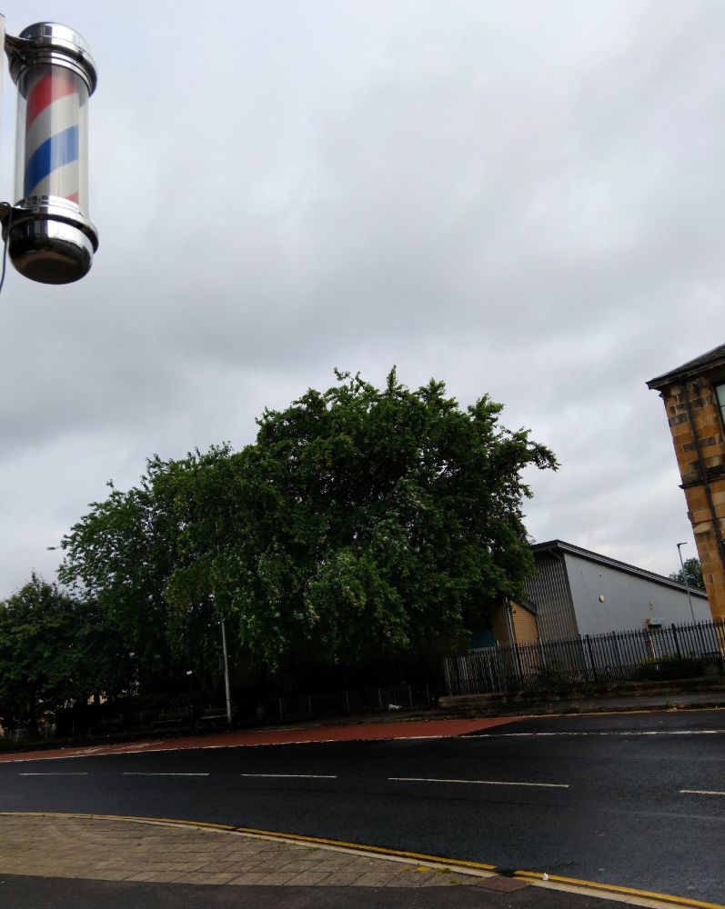A colour photograph. In the top-left foreground is a barber’s pole while in the middle ground is a road passing in front of a row of trees and a couple of buildings, both of which are only partly visible. In the background the sky is covered with grey clouds.