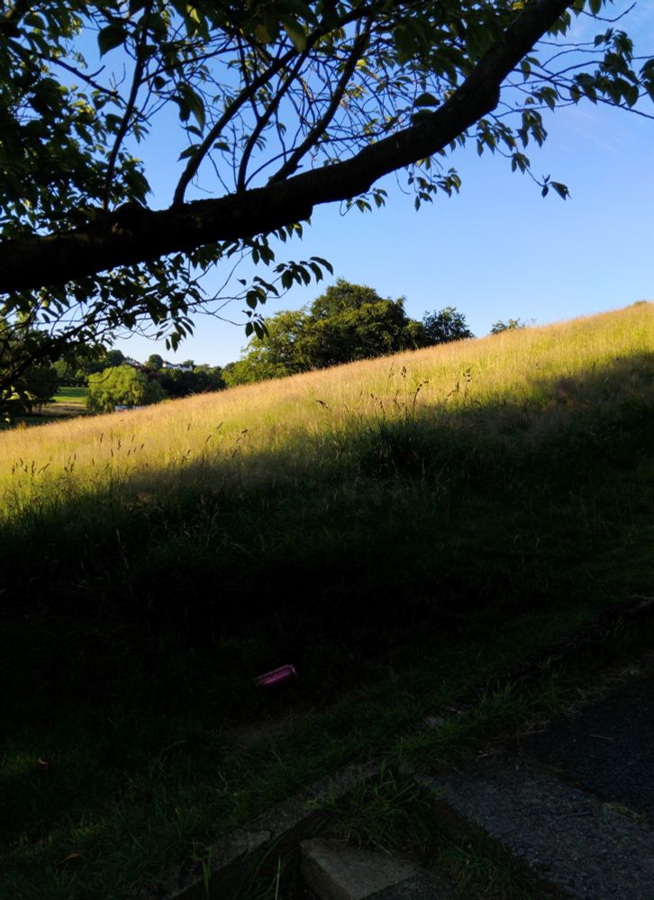 Photograph showing a view along a hillside. In the distance are trees and a clear blue sky. In the foreground, in shadow, is a discarded red drinks can lying just beyond stone steps. Above is the branch of a tree and its foliage.