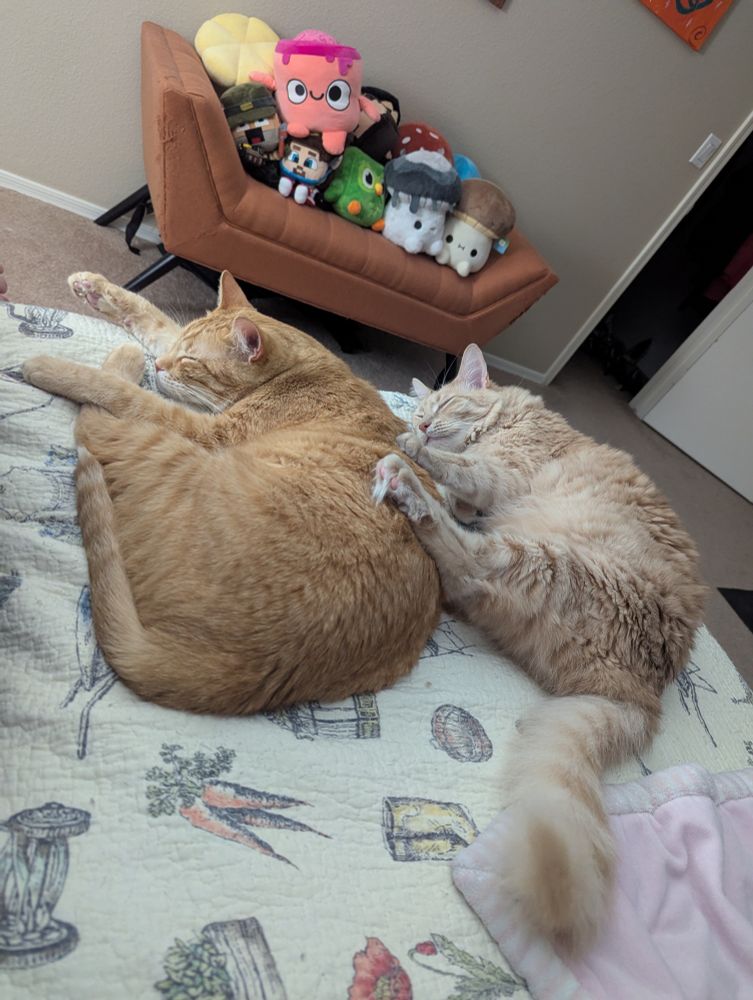 Two orange cats snoozing and spooning. Big spoon has paws around his brother