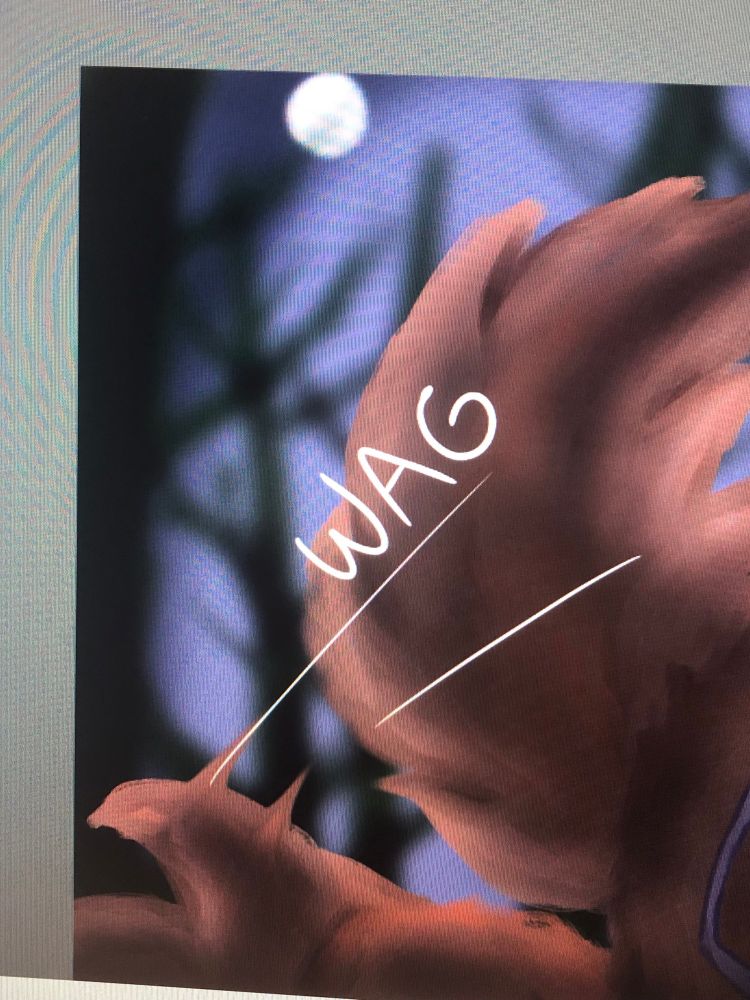 A full moon and a wagging tail