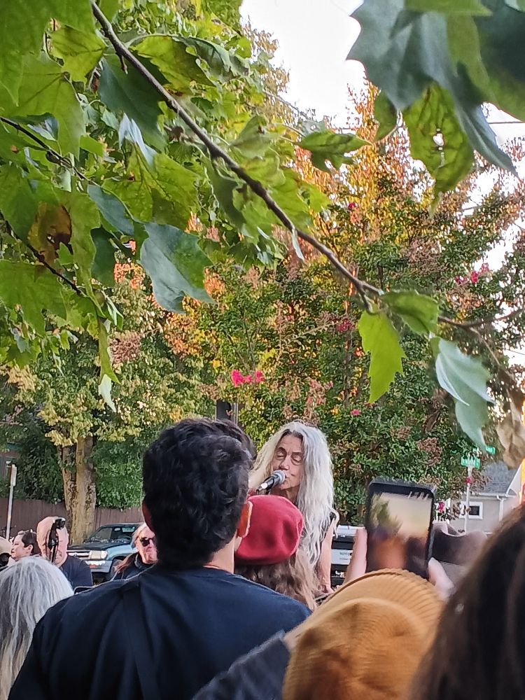 Toody Cole singing, as seen through a crowd of people in the park