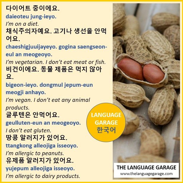 Korean restaurant vocabulary for special diets, image of peanuts