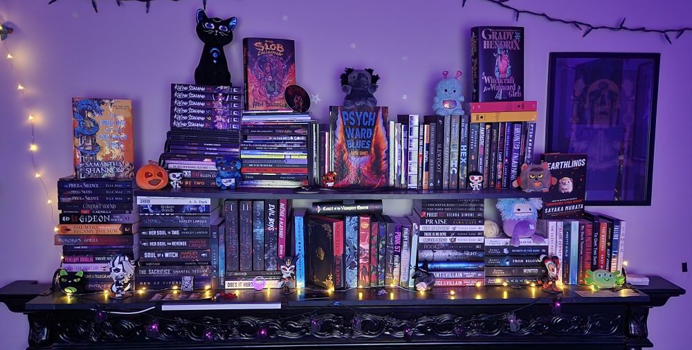 Book shelves with many books