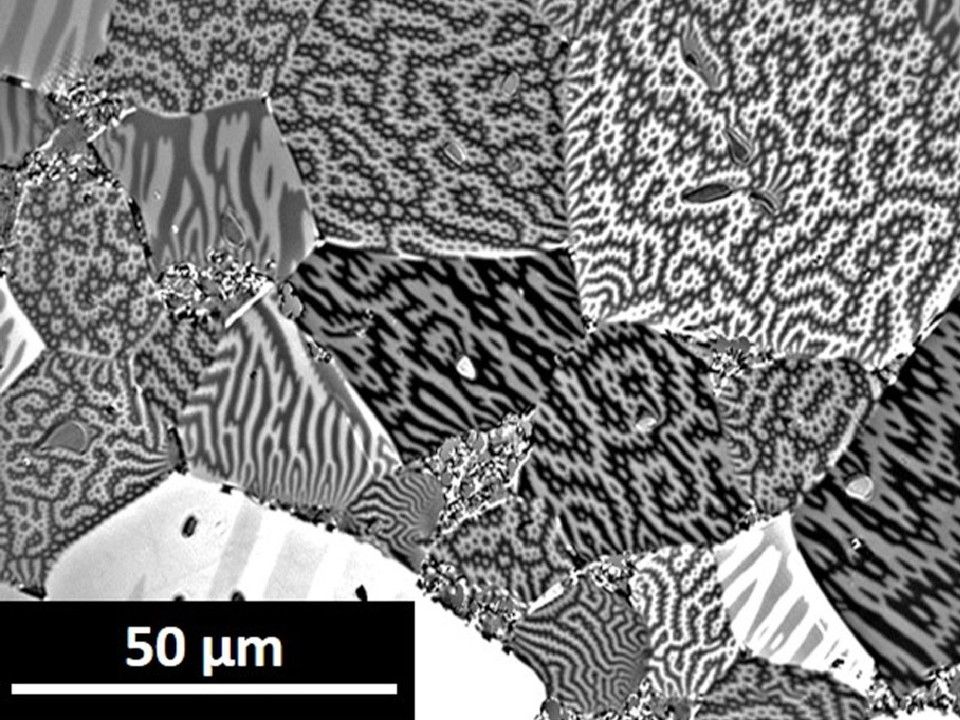 Microscopic image of magnetic domains: they form patchwork-like patterns in different shades of gray.