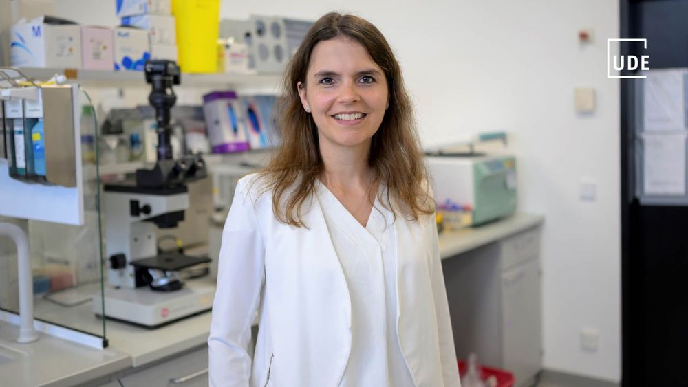 Portraitbild von Prof. Dr. Caroline Wiesehöfer