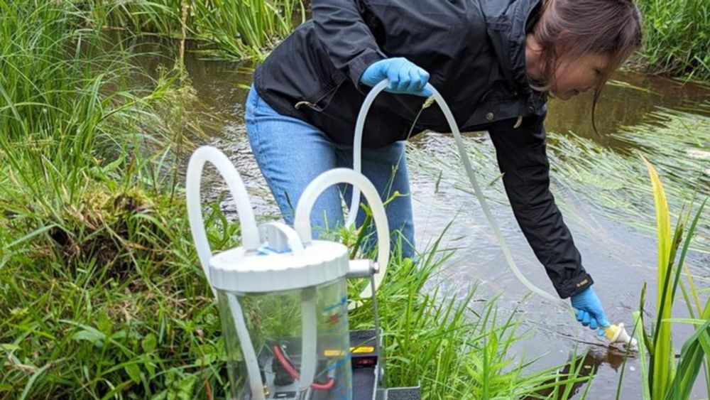 Auf der Suche nach DNA-Spuren im Bach | #unsereFlüsse