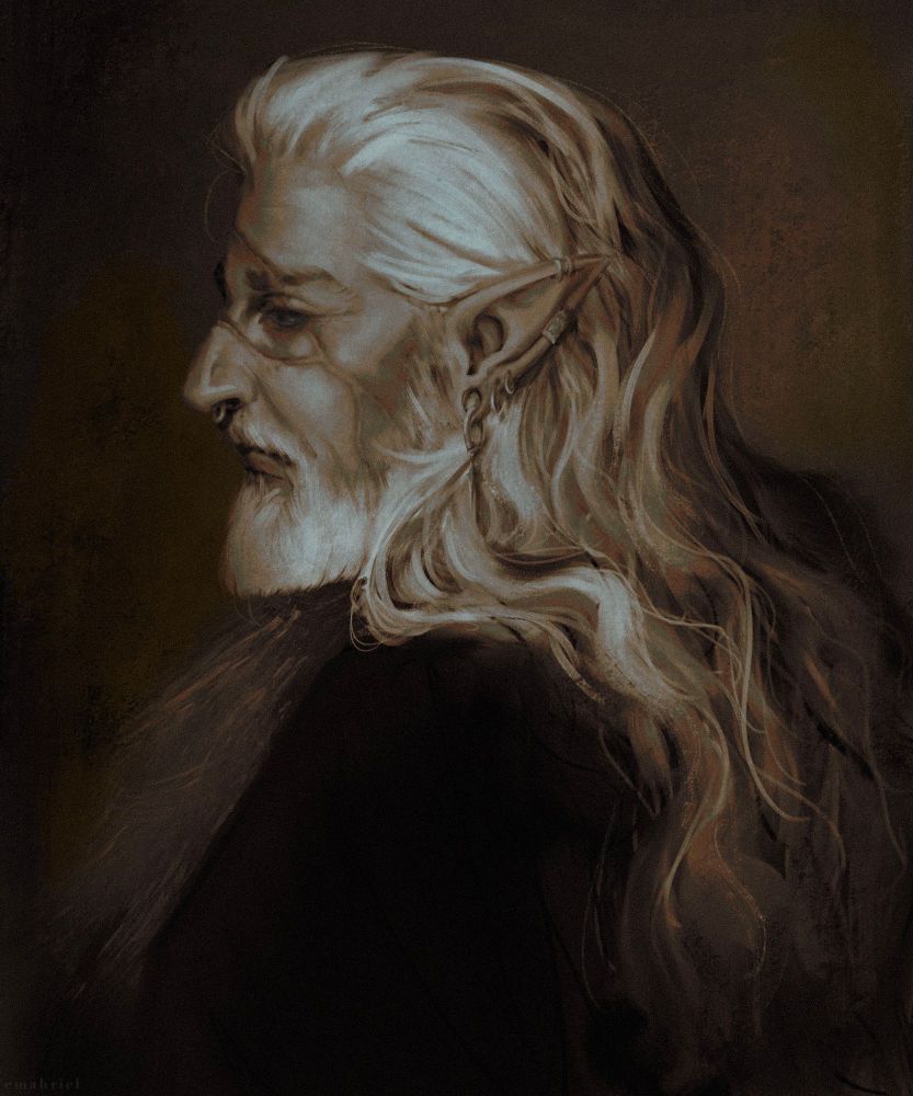 digitally drawn side portrait of a bearded elf man with long, wavy white hair and several piercings. he has a scar going across his left eye, nose and all the way down his cheek.