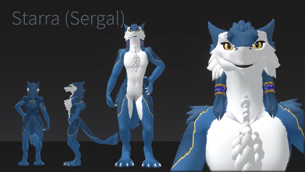 Refsheet-style photoshoot of a blue & white sergal with thin yellow bands on the shoulders and thighs. She's wearing gold-and-lapis hair-tie jewlery, and has her whole pussy out.