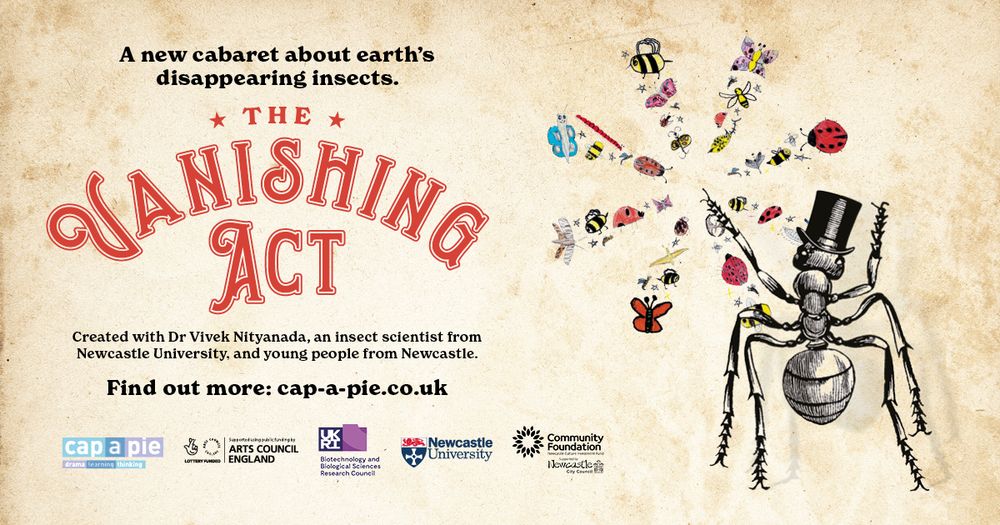 A poster for a play: "The Vanishing Act: A new cabaret about Earth's disappearing insects". On the right is a black and white ant in a top hat with one leg extended. Radiating from the finger are children's drawings of insect- bees, butterflies, beetles and so on.