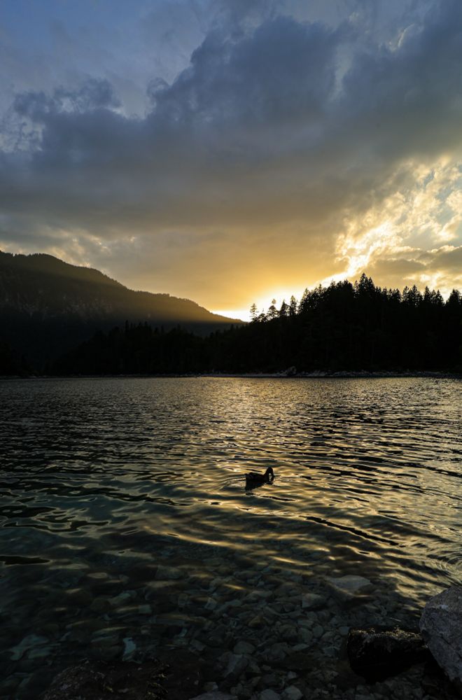 Blick auf ein Gewässer im Abendlicht, mittig schwimmt eine Ente. Im Hintergrund rechts Bäume, links ein Berg. Am Himmel eine Wolke, unter der dezent die untergehende Sonne scheint. View of a body of water in the evening light, a duck swims in the middle. Trees in the background on the right, a mountain on the left. A cloud in the sky, under which the setting sun is discreetly shining.