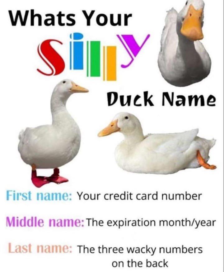 An image of some ducks, next to the text: Whats Your silly Duck Name?

First name: Your credit card number
Middle name: The expiration month/year
Last name: The three wacky numbers
on the back