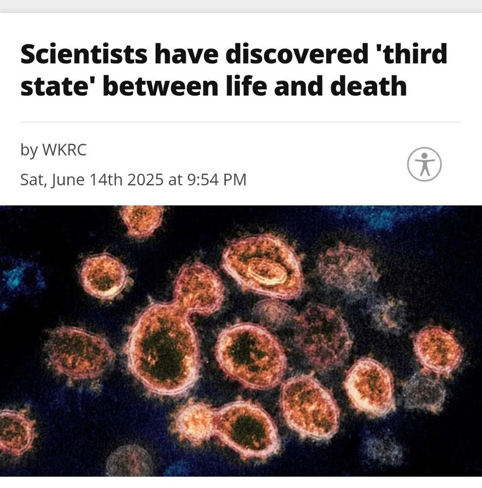 Headline of an article with a picture of some cells, it reads "Scientists have discovered `third state' between life and death"