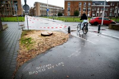 Dankzij Suzanne werd op het fietspad ruimte gemaakt voor een zomereik, nu legt de boom alsnog het loodje