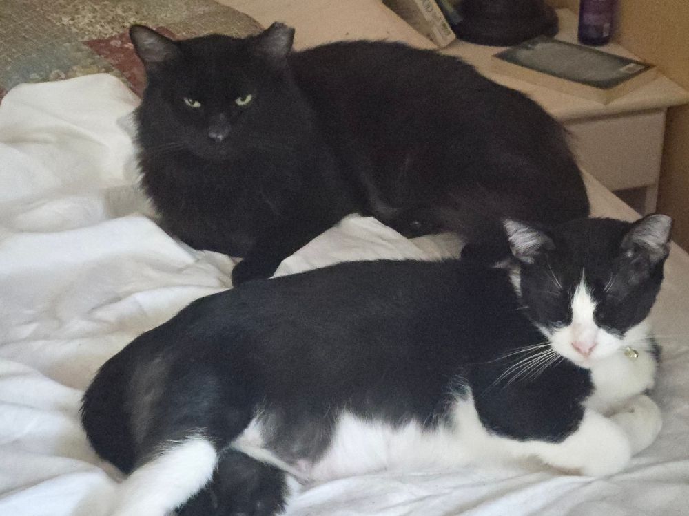 Just little Big Fat and marvin
