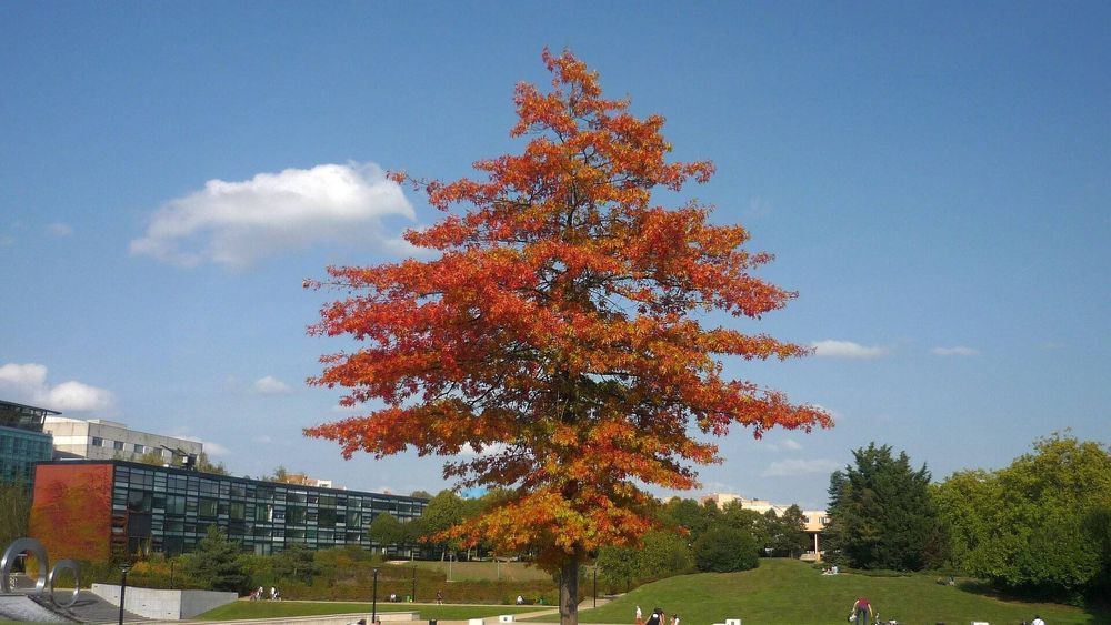 Photo souvenir du jour.