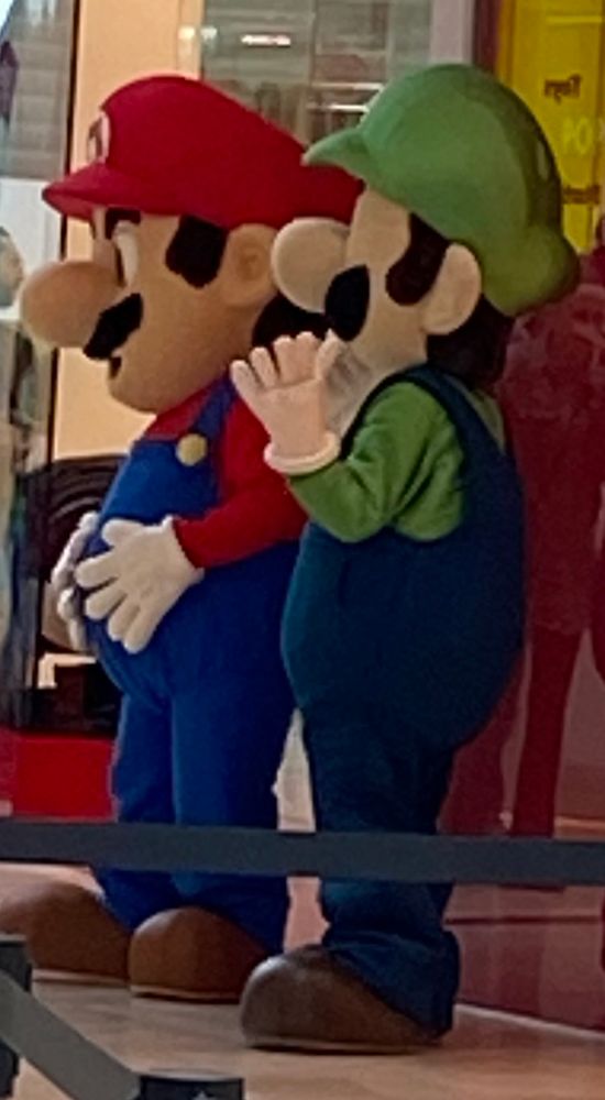 mario and luigi standing waiting to take photos