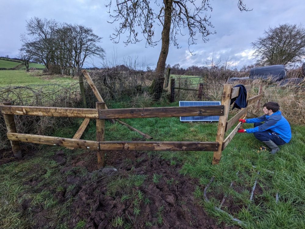 An image of a fence surrounding a solar panel, with Eoghan Totten installing a new panel for the fence to keep cows away from the solar panel and seismometer. It's in the corner of a field with a tree in the very corner.