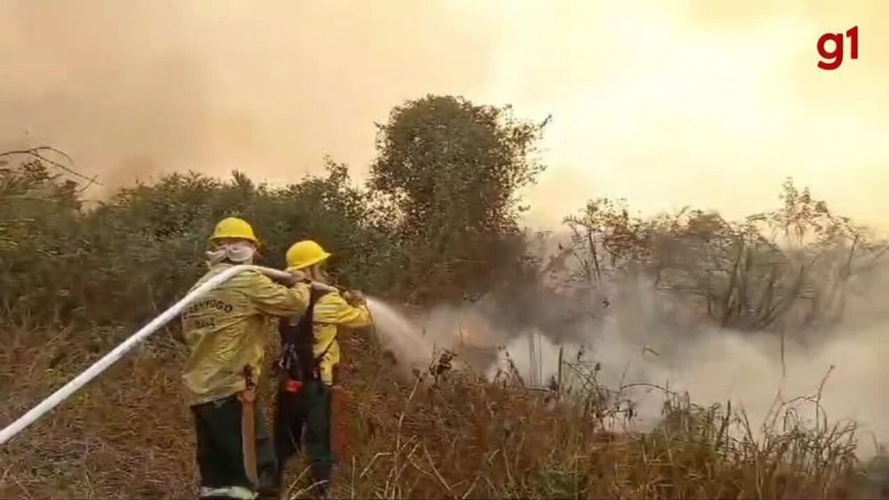 Brigadistas do Ibama iniciam combate a incêndio na Bolívia que ameaça Serra do Amolar, no Pantanal; vídeo